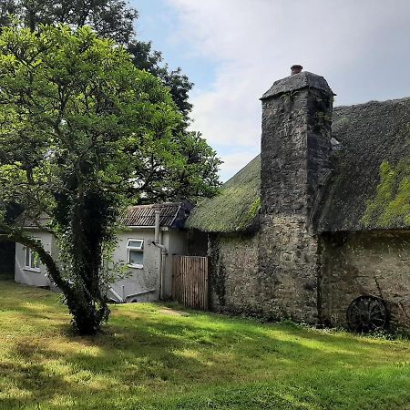 Quintessential, Secluded South Devon Cottage Plymouth Extérieur photo