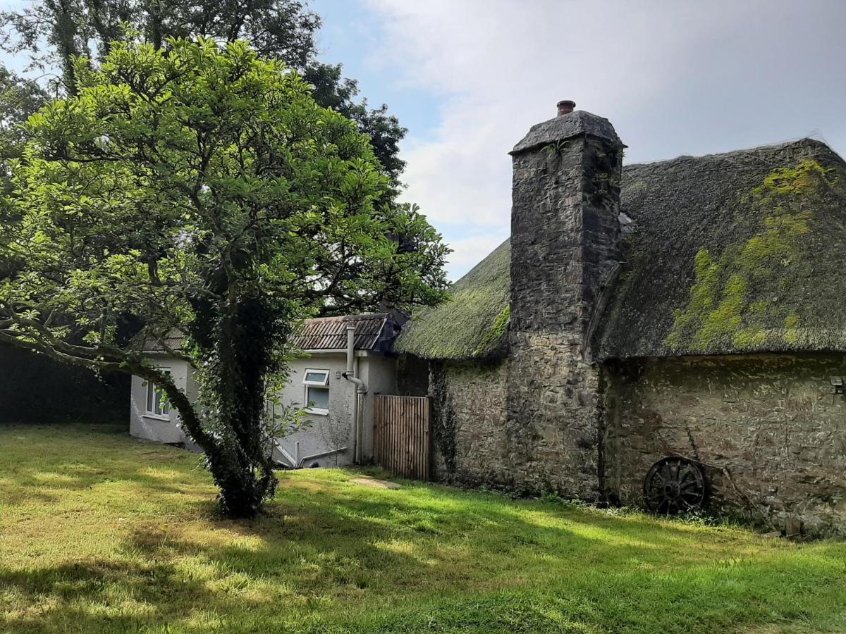 Quintessential, Secluded South Devon Cottage Plymouth Extérieur photo